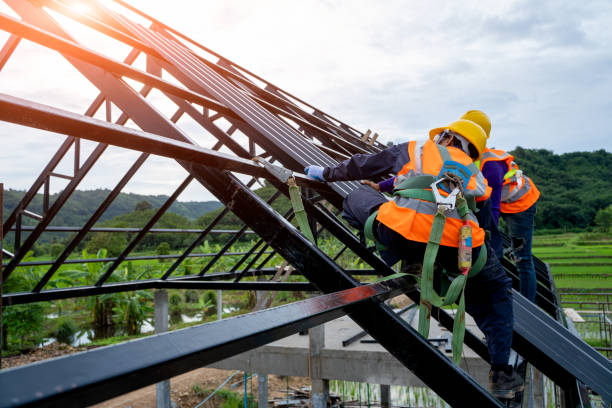 Professional Roofing Contractor in Lapeer, MI