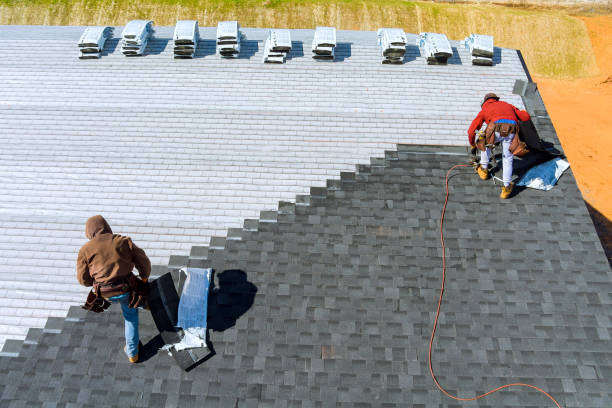 Best Shingle Roofing Installation  in Lapeer, MI