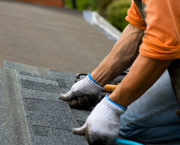 Best Storm Damage Roof Repair  in Lapeer, MI