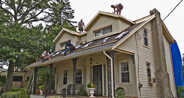 Best Local Roofing Companies  in Lapeer, MI