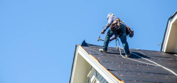 Best Flat Roof Repair Services  in Lapeer, MI