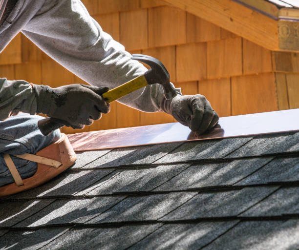 Best Metal Roofing Contractor  in Lapeer, MI